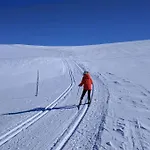 Cozy Log At Beautiful Nystolsfjellet 펜션 골
