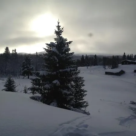 Holiday home Cozy Log At Beautiful Nystolsfjellet *