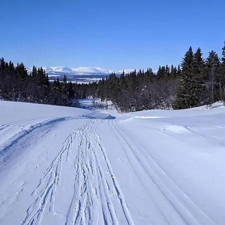 Cozy Log At Beautiful Nystolsfjellet * גול