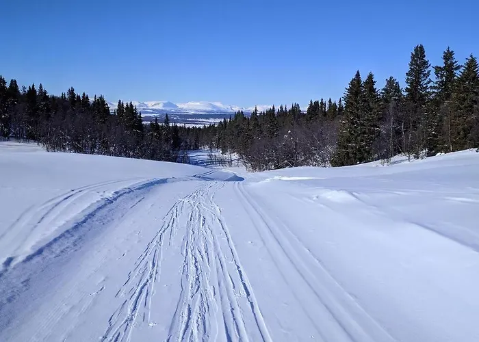 Cozy Log At Beautiful Nystolsfjellet * Гуль