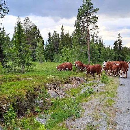 Cozy Log At Beautiful Nystølsfjellet Feriehus *