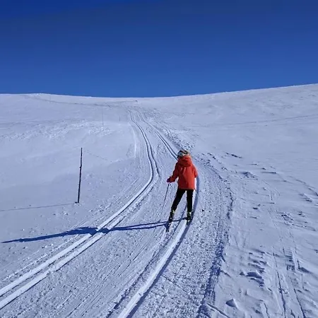 Cozy Log At Beautiful Nystølsfjellet Feriehus Gol