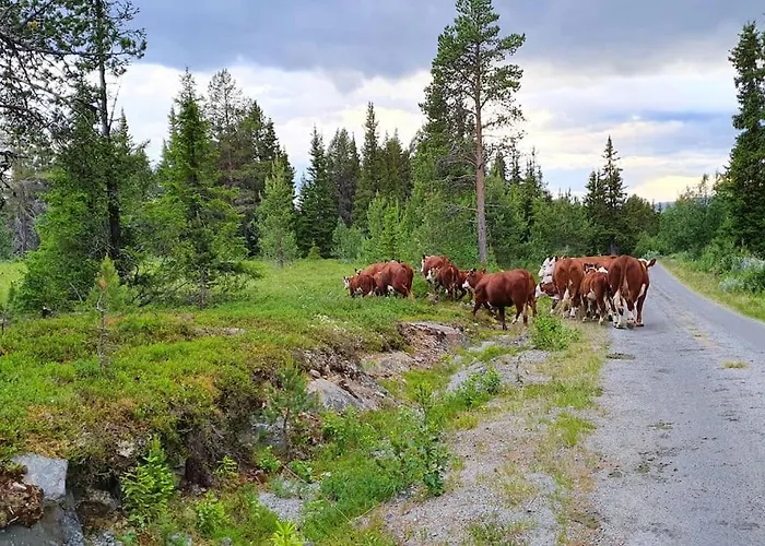 Cozy Log At Beautiful Nystolsfjellet Dom wakacyjny *